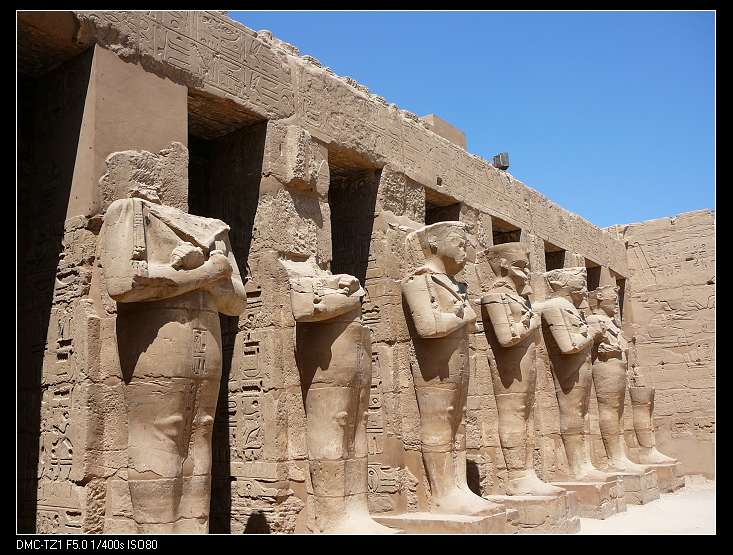 埃及篮球职业联赛春秋四季竞技