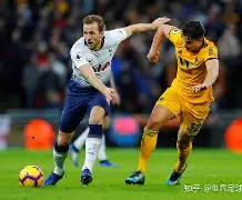 热刺损伤情况不容乐观，教练组全力照顾