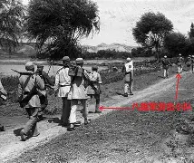 吉斯达的胜利：南方的绿白军团崛起